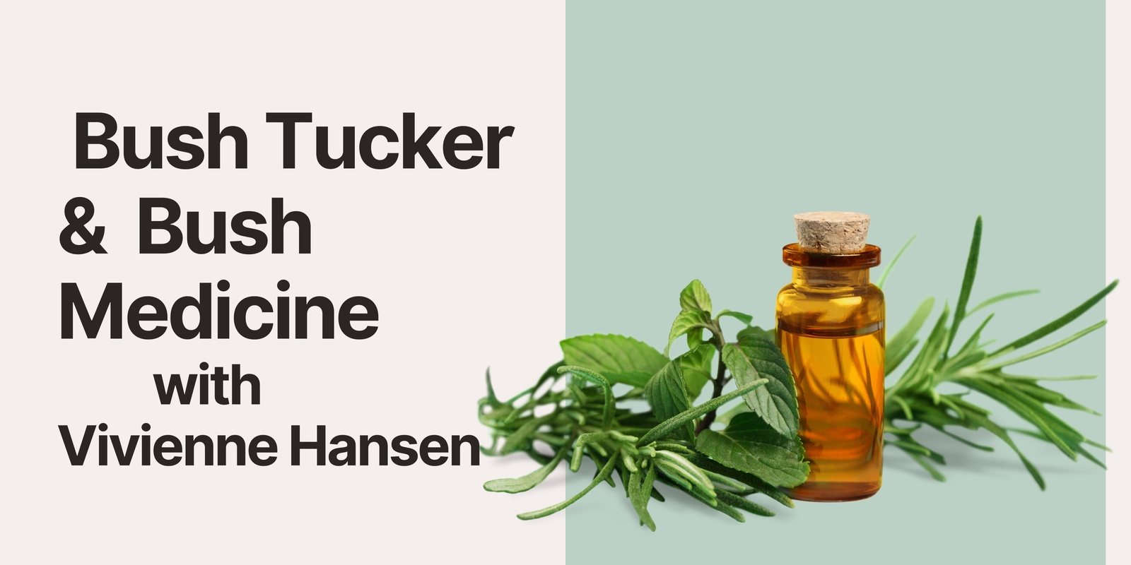 Banner image for Bush Medicine & Bush Tucker with Vivienne Hansen