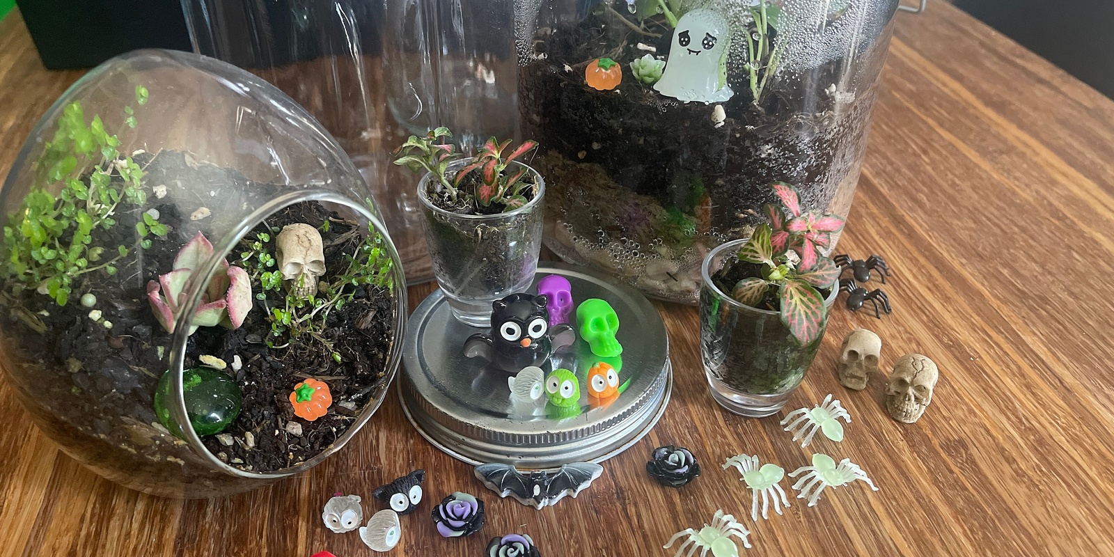 Banner image for Creepy Closed Terrariums with Winter