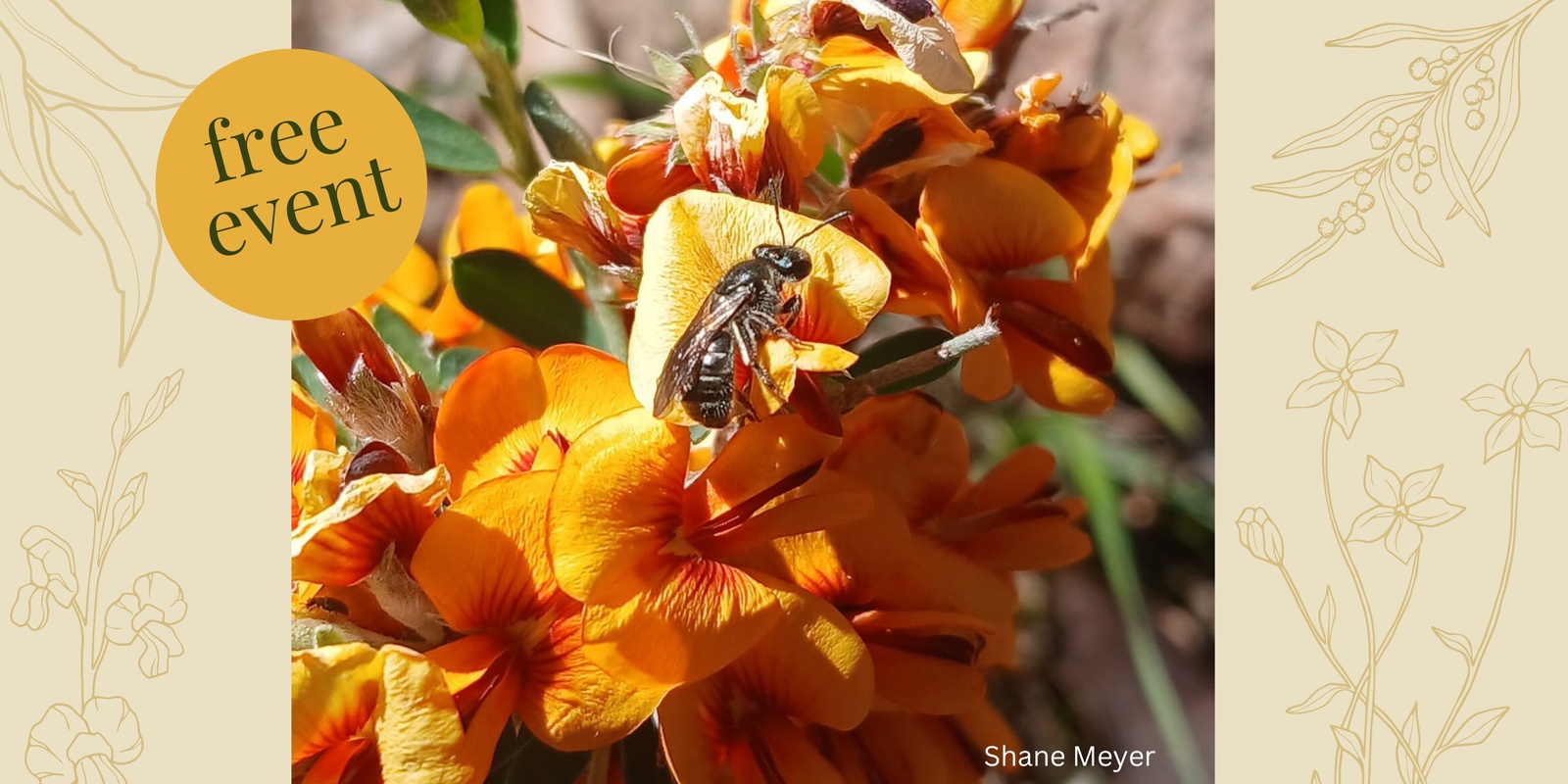 Banner image for Nurturing Natives: Planting for Pollinators