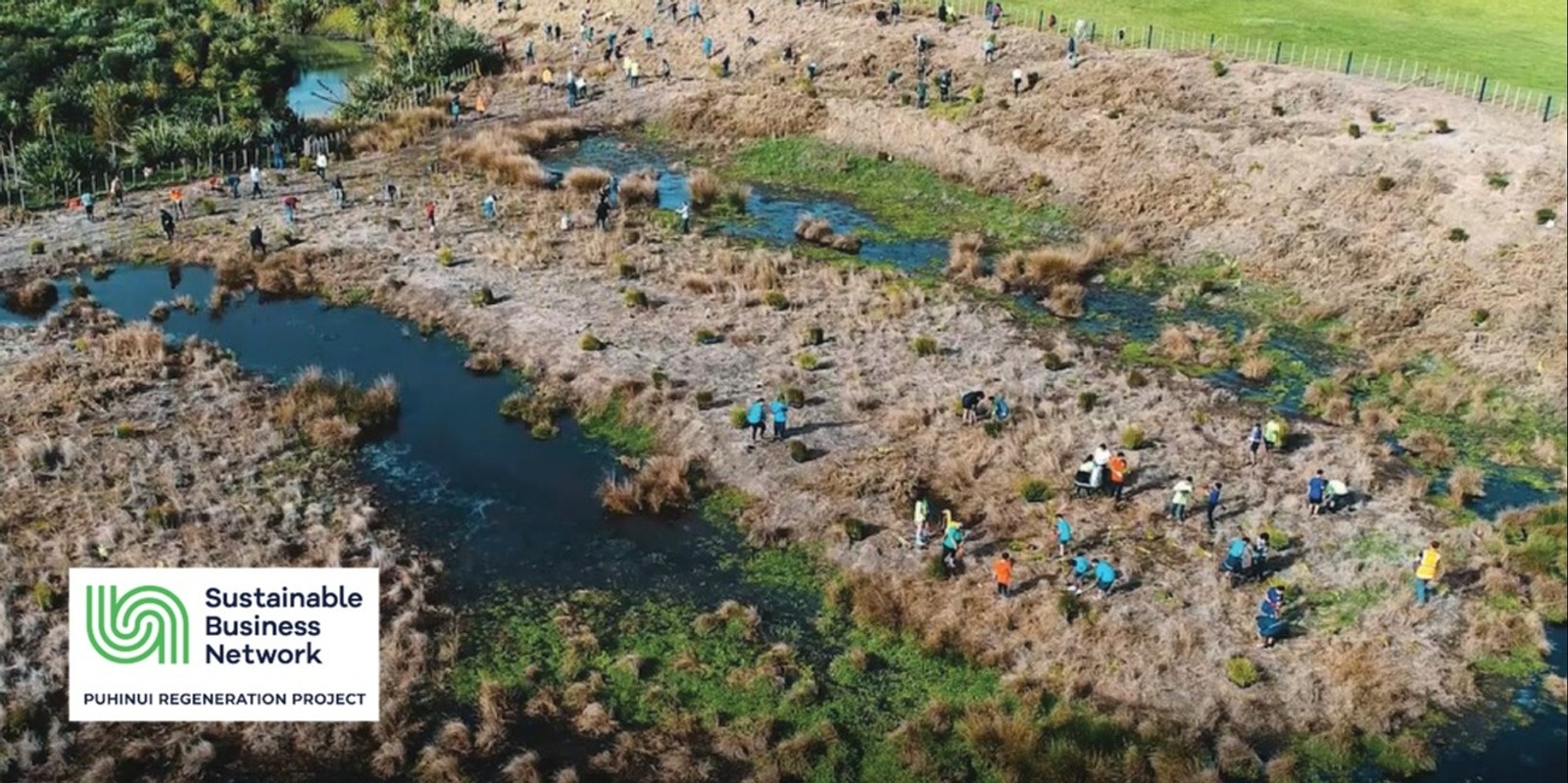 Banner image for Connect with te Puhinui - March