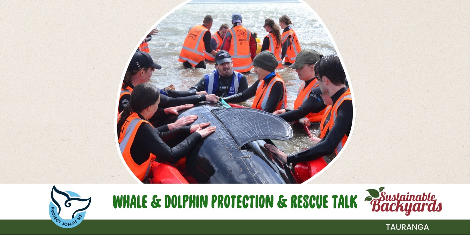 Banner image for Project Jonah - Whale and Dolphin Protection and Rescue Talk