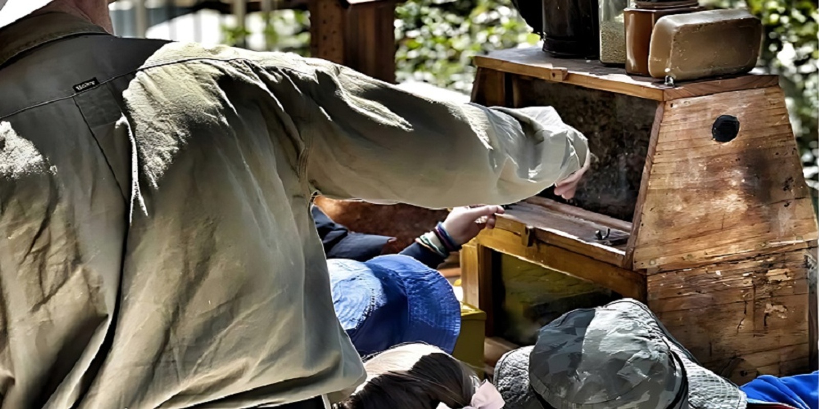 Banner image for Learn Beekeeping at Karrinyup Library