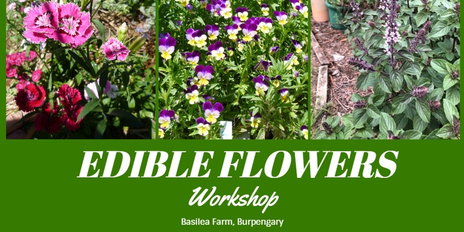 Banner image for Edible Flowers Workshop at the Basilea Farm