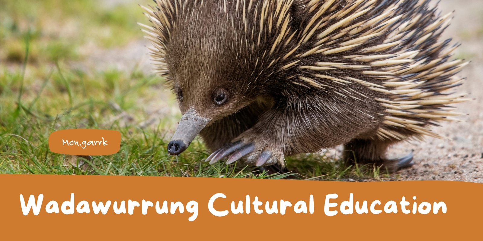 Banner image for Wadawurrung Cultural Education Session