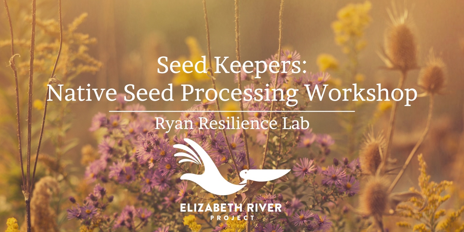 Banner image for Seed Keepers: Native Seed Processing Workshop