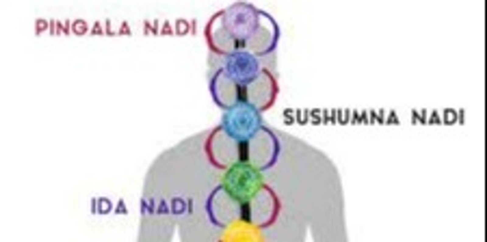 Banner image for Chakras the awakening soul