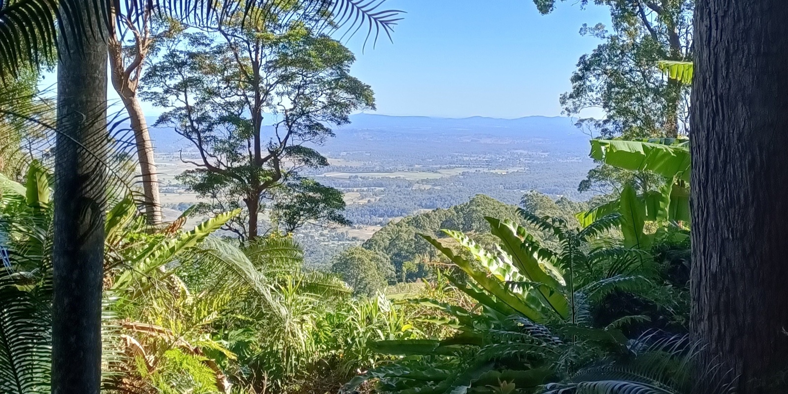 Banner image for Painting with a view- Tamborine Mountain 
