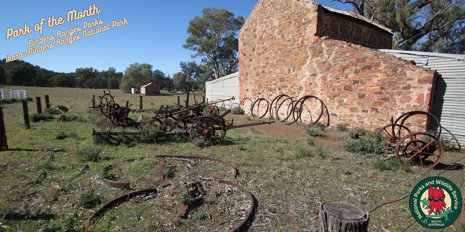 Banner image for Old Wilpena Station guided tours