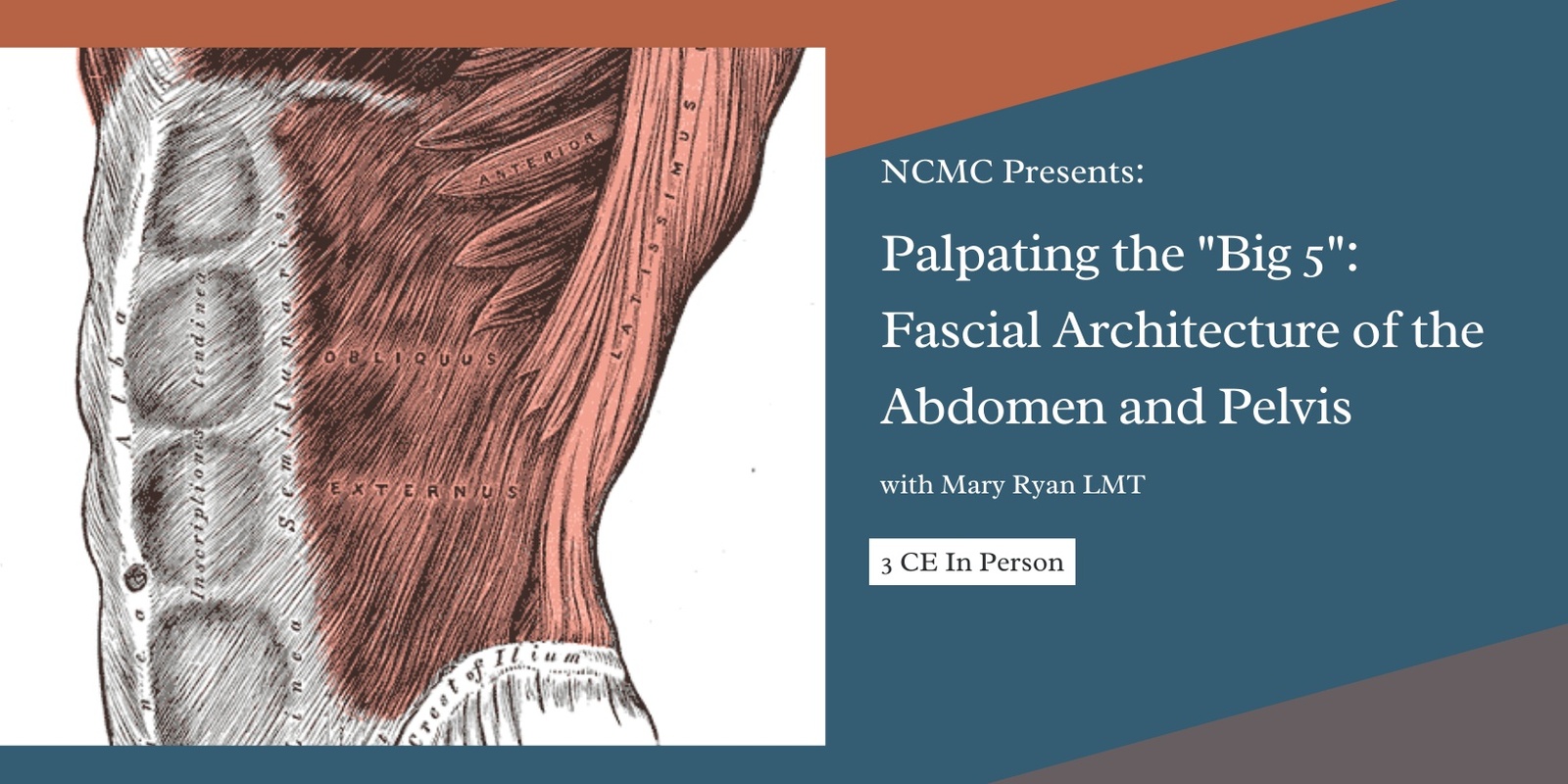 Banner image for Palpating the "Big 5": Fascial Architecture of the Abdomen and Pelvis