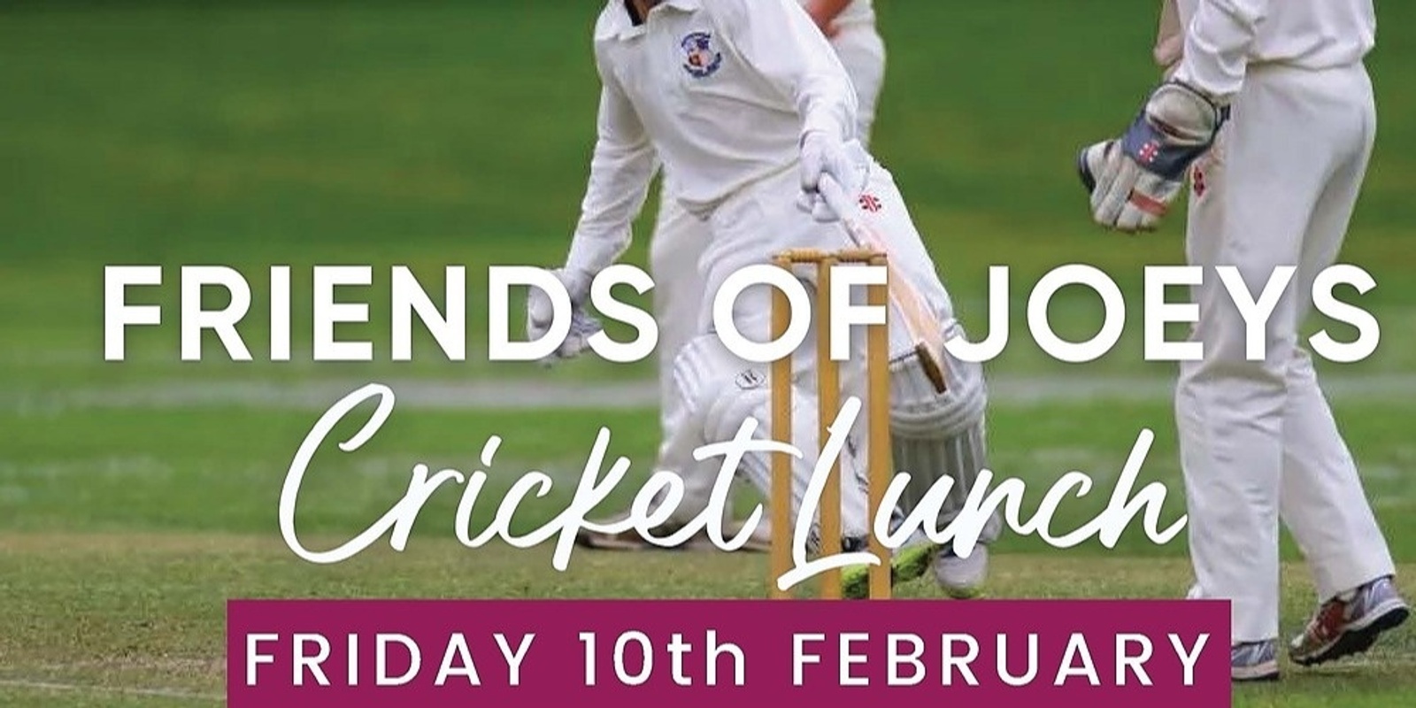 Banner image for Friend of Joeys Cricket - Lunch 