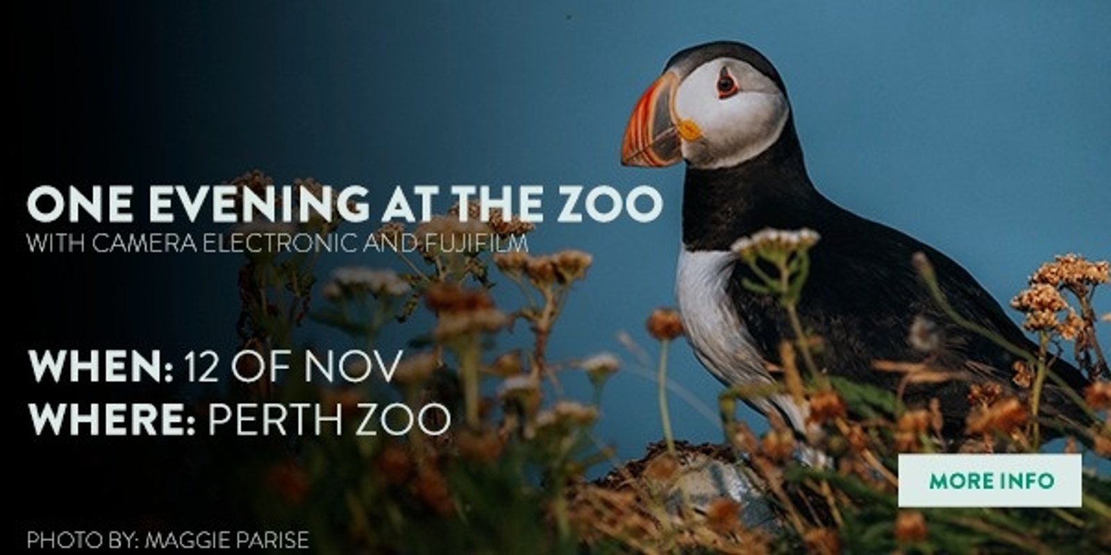 Banner image for One Evening at the Zoo with Camera Electronic and Fujifilm