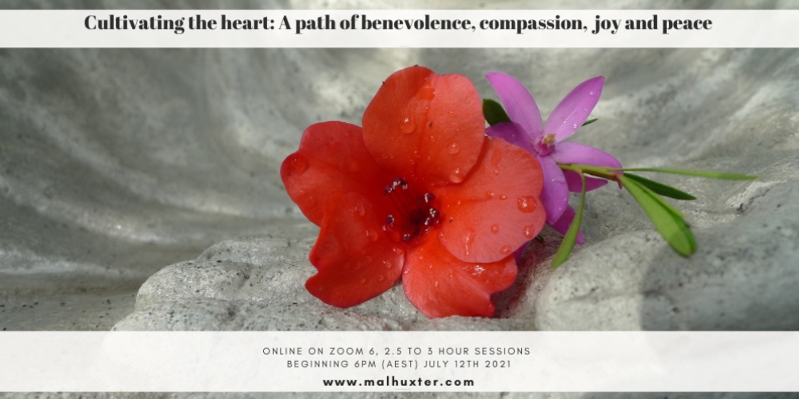 Banner image for Cultivating the heart:  A path of benevolence, compassion, joy and peace  