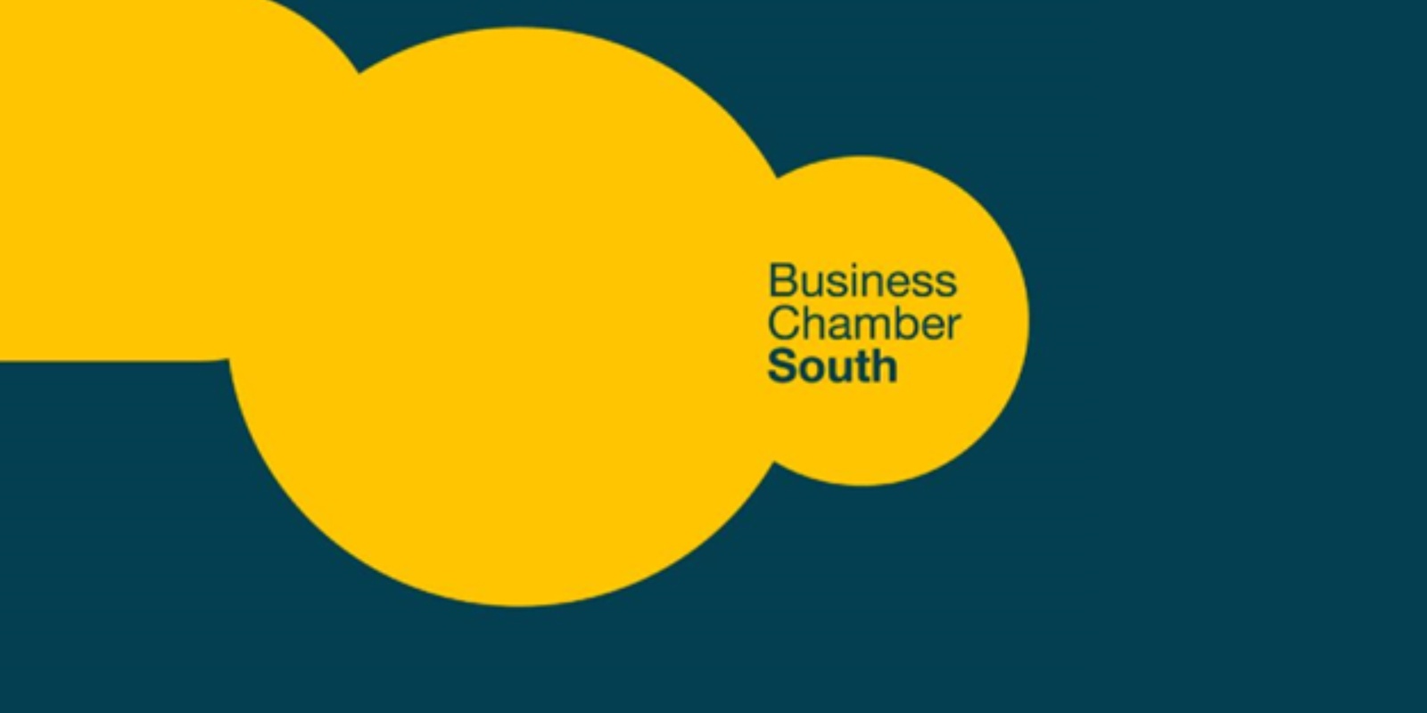 Business Chamber South's banner