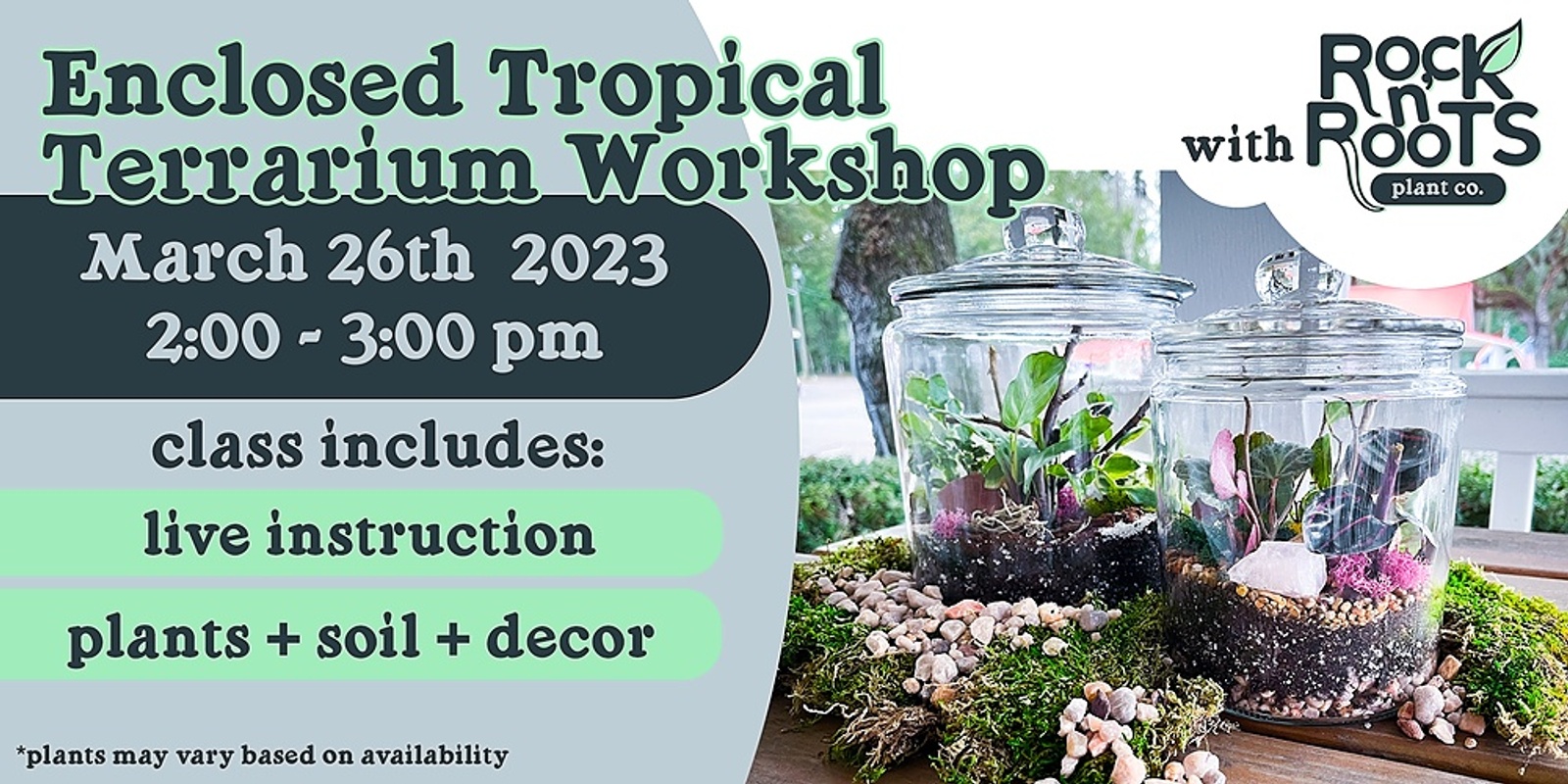 Enclosed Tropical Terrarium Workshop at Rock n' Roots Plant Co. (Pawleys Island, SC)