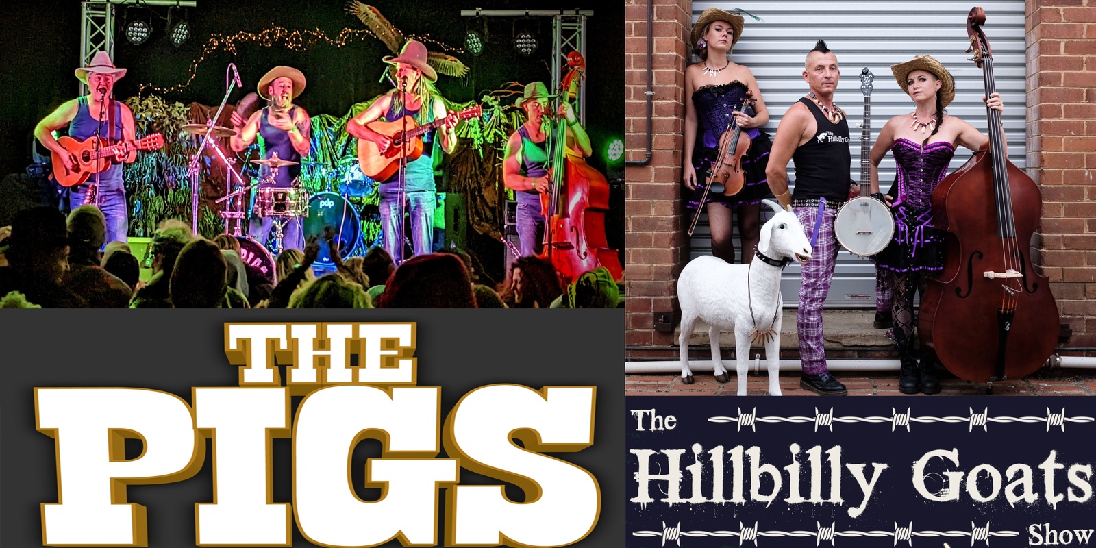 Banner image for The Pigs & Hillbilly Goats @ The Vine