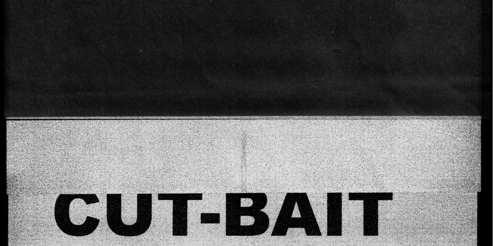 Banner image for CUT BAIT: What you want, extra