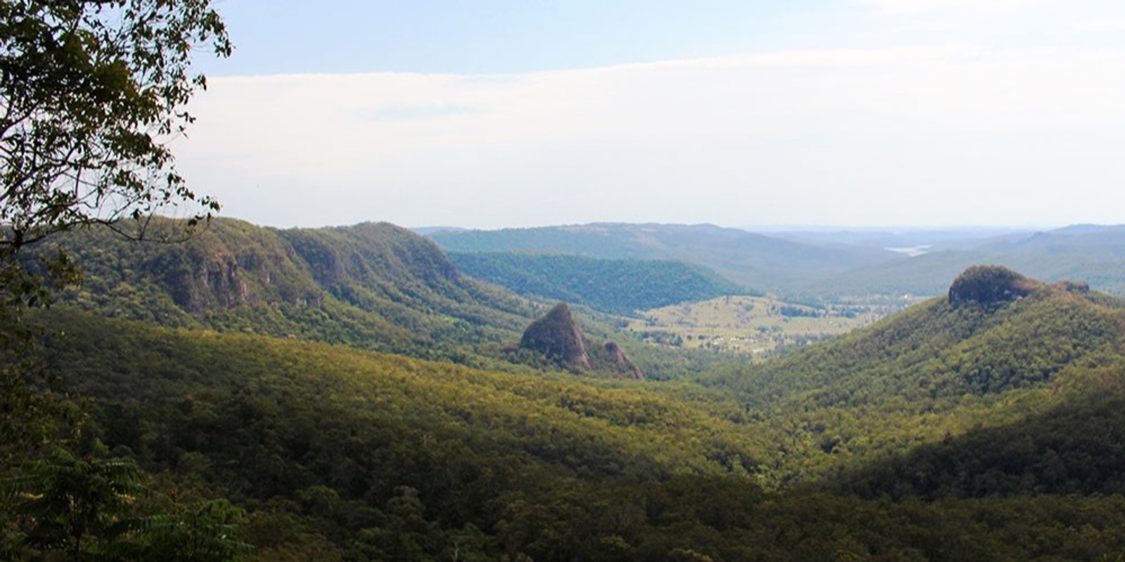 Banner image for Yangahla Lookout - Lamington National Park