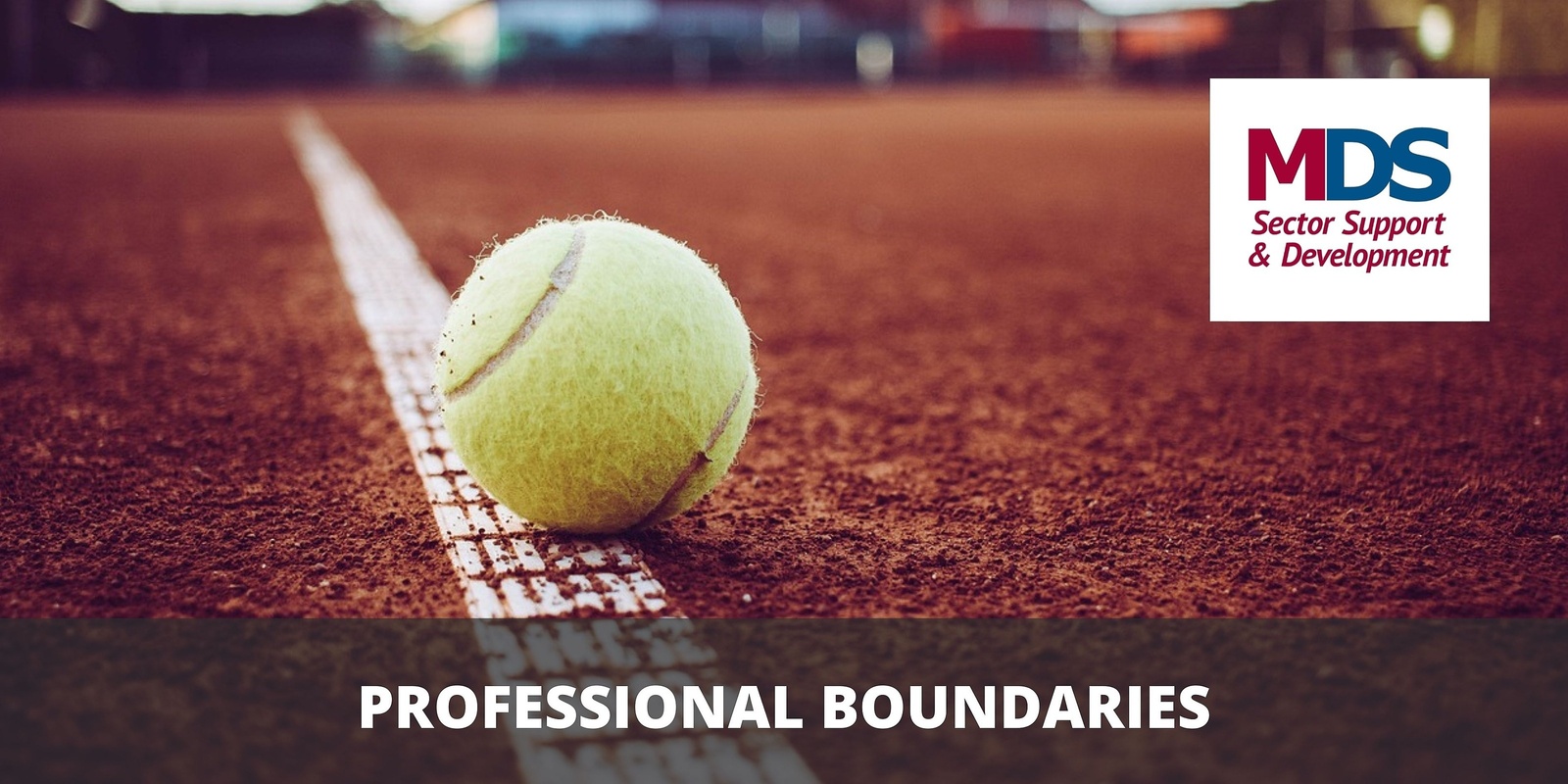 Banner image for Professional Boundaries 