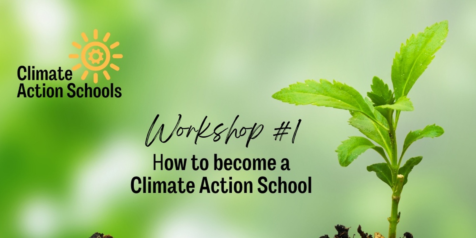 Banner image for 2025 Workshop #1 - How to become a "Climate Action School" 