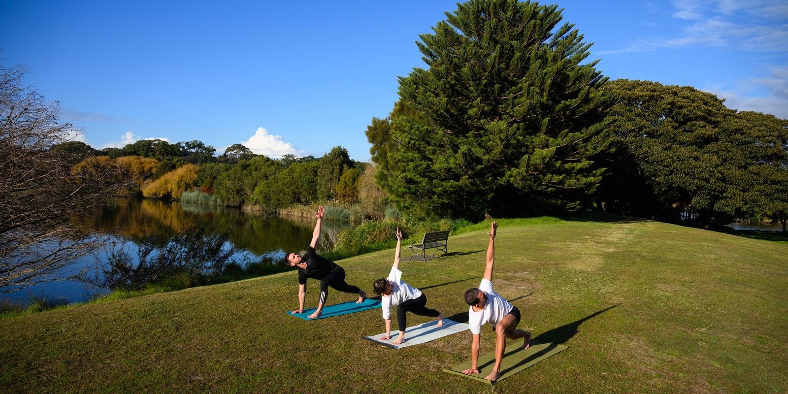 Banner image for Yoga for Movember 