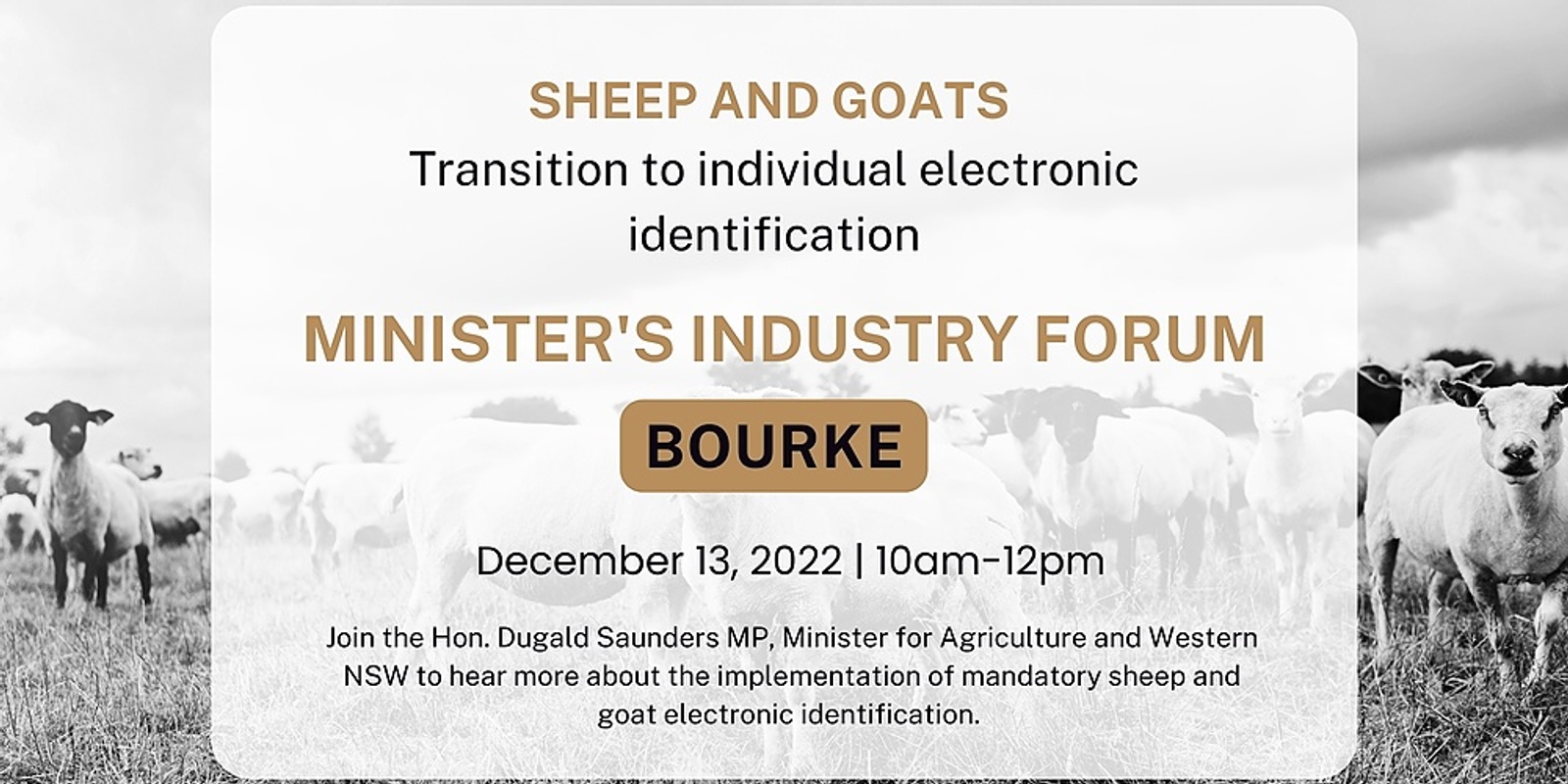 Banner image for Minister's industry forum, Bourke: sheep and goat mandatory electronic identification