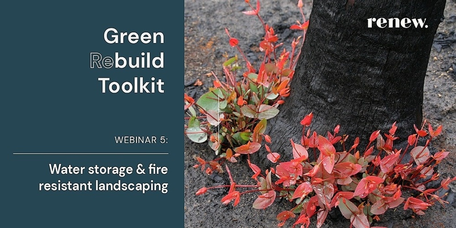 Banner image for Green Rebuild Toolkit: Water storage and fire-resistant landscaping 