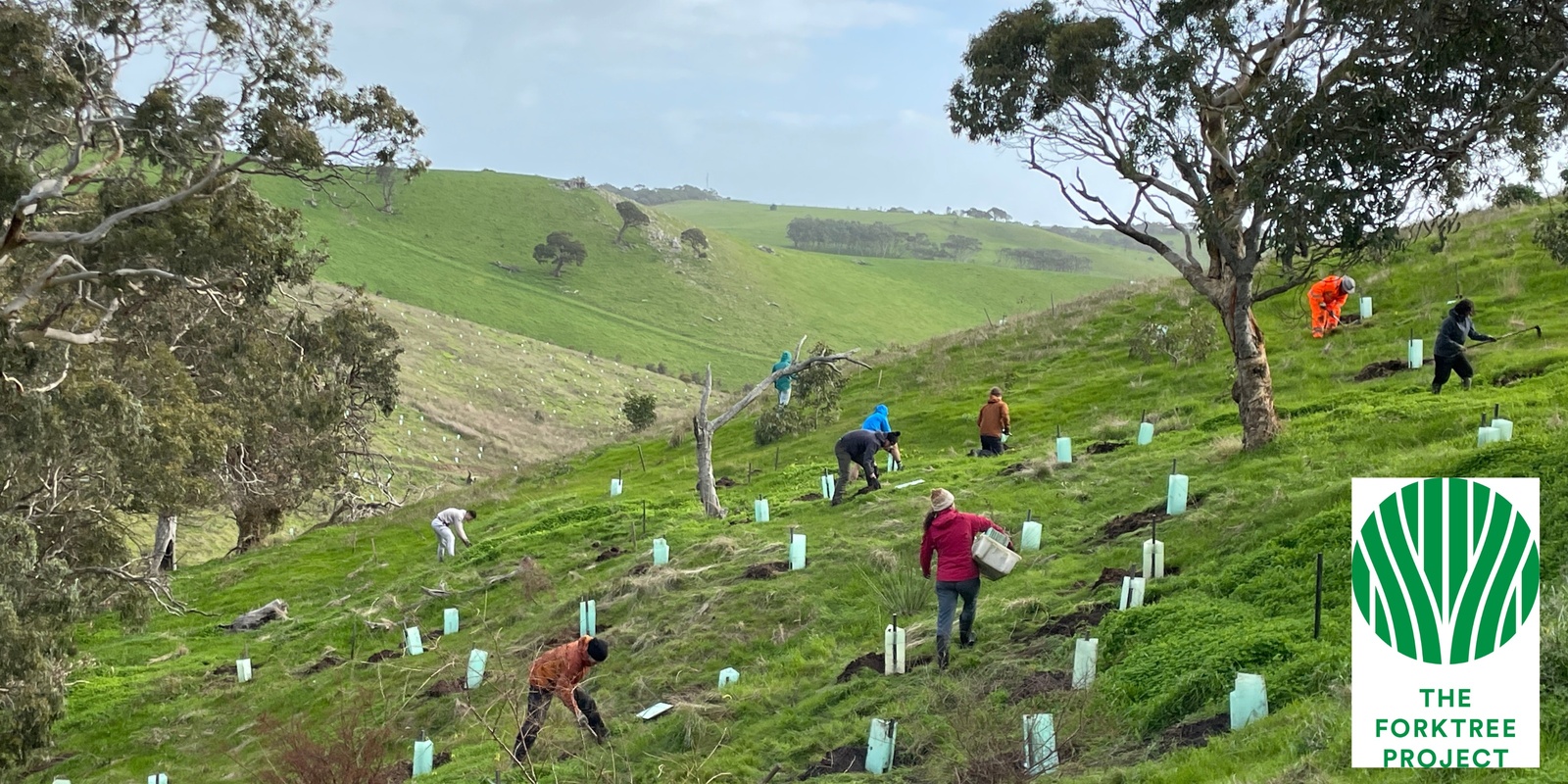 Banner image for Forktree Project Open Day