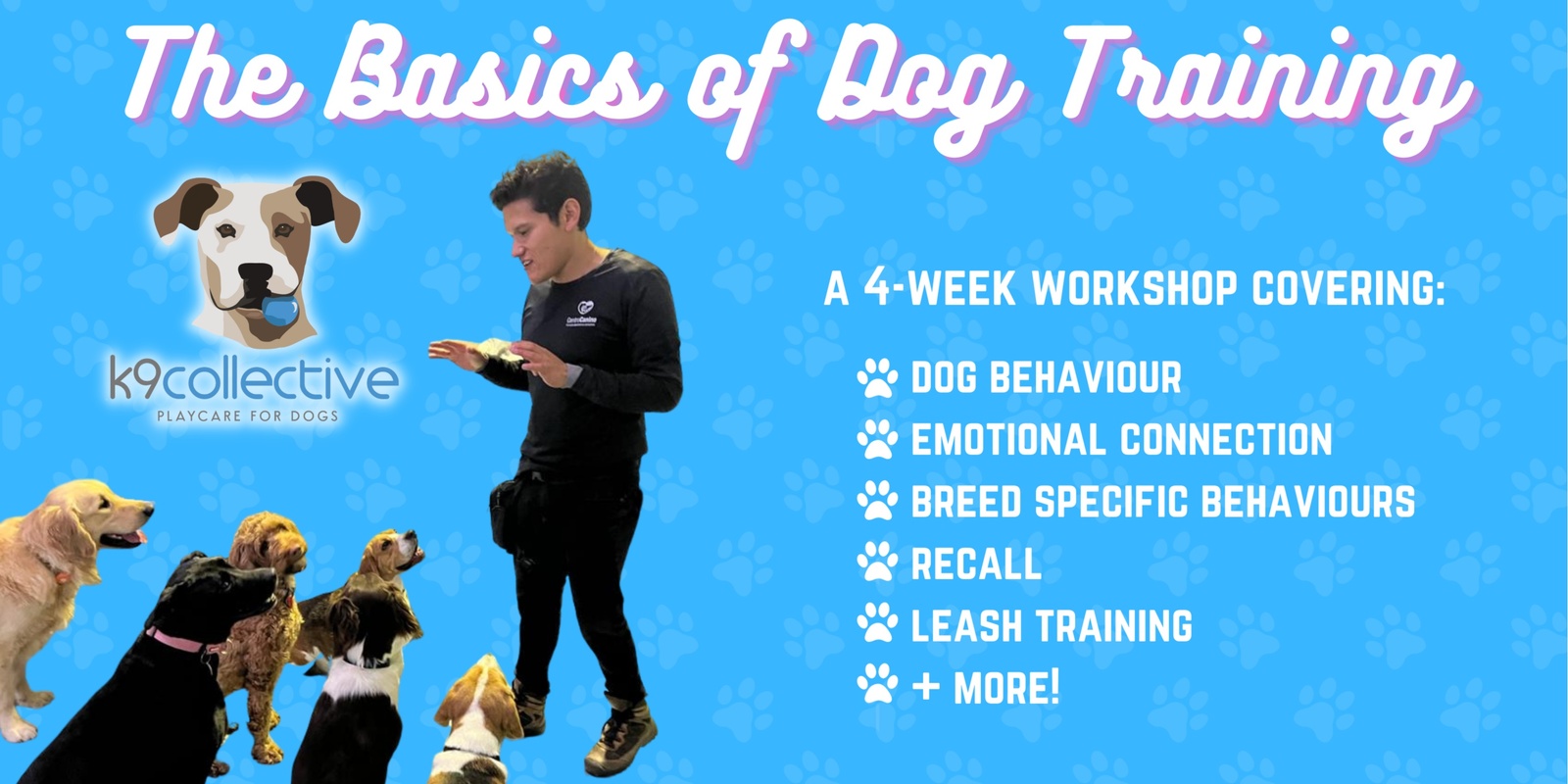 Banner image for The Basics of Dog Training: A 4-week Workshop by K9 Collective