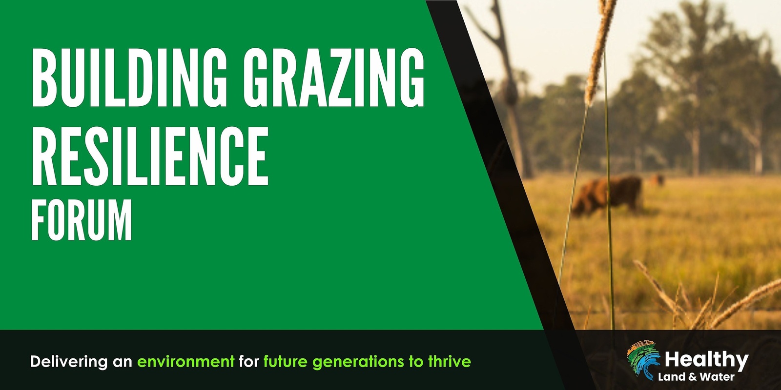 Banner image for Building Grazing Resilience Forum| Gatton
