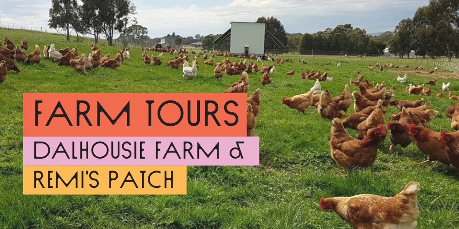 Banner image for Melbourne Food Hub Farm Tours: Dalhousie Farm & Remi's Patch