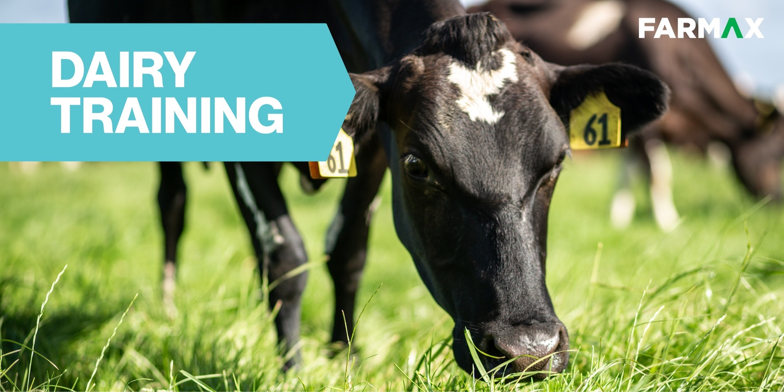 Banner image for Masterton FARMAX Dairy Training