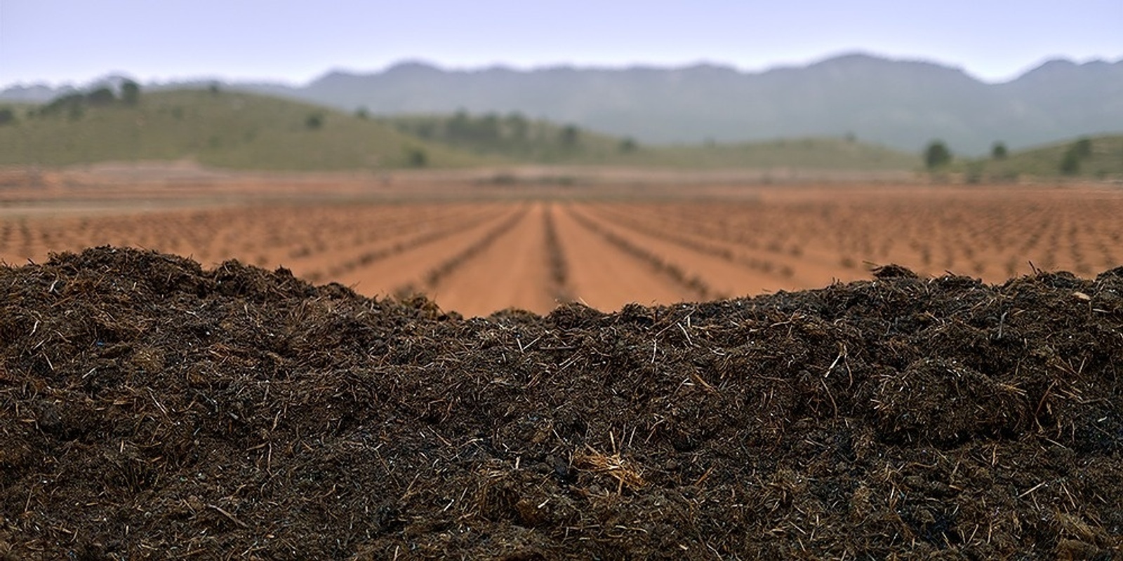 Banner image for Climate and Organics: From farm, factory and plate, and back to soil