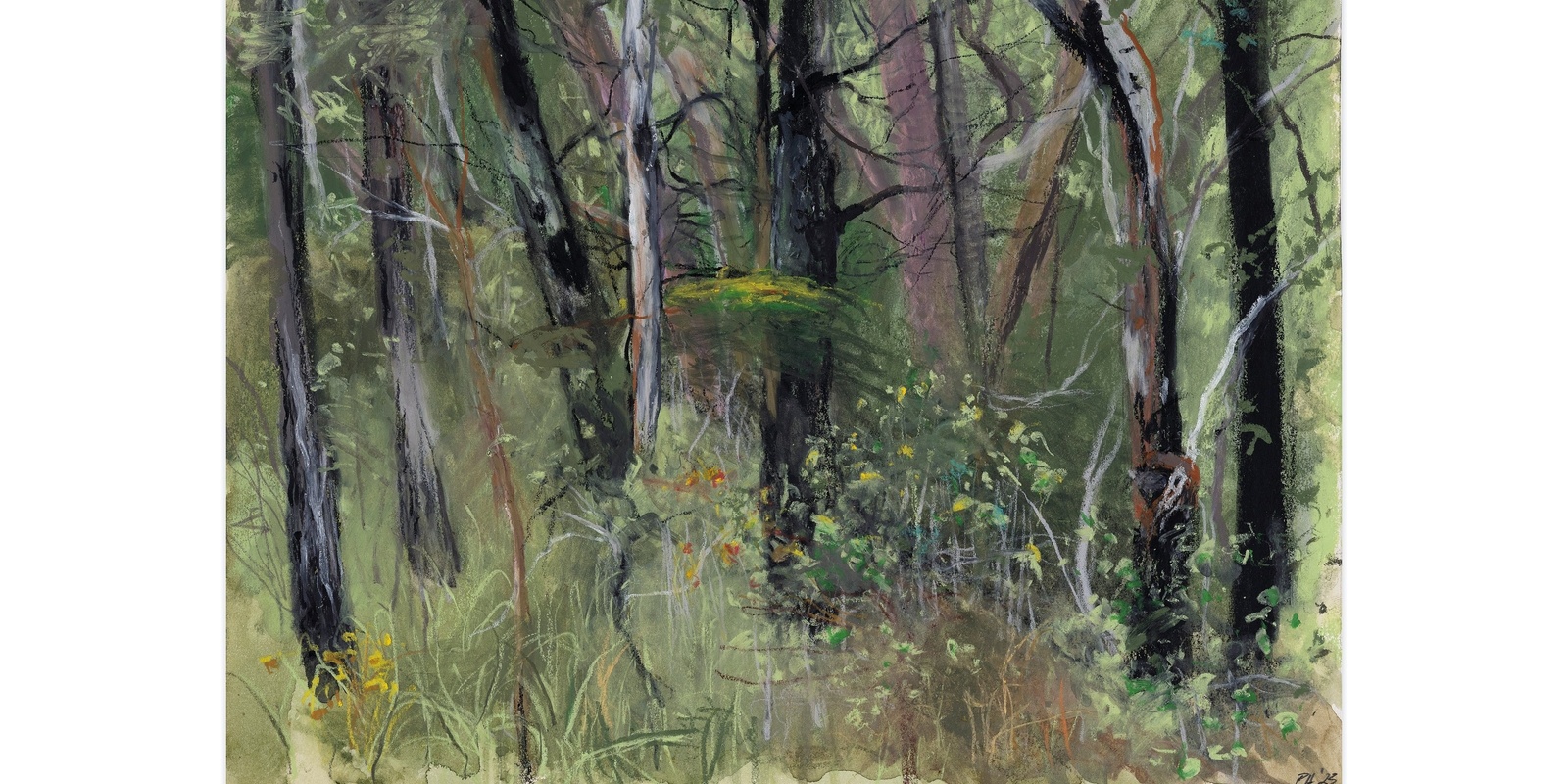 Banner image for En Plein Air Masterclass with artist Peter Hudson