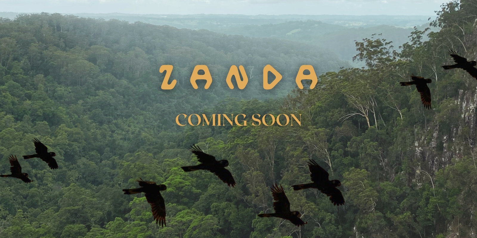 Zanda's banner