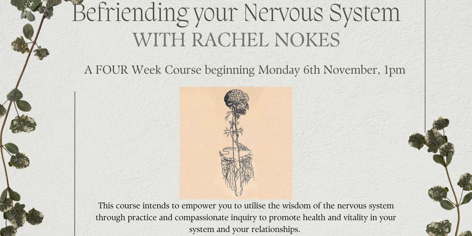 Banner image for Befriending your Nervous System: A Four Week Course with Rachel Nokes