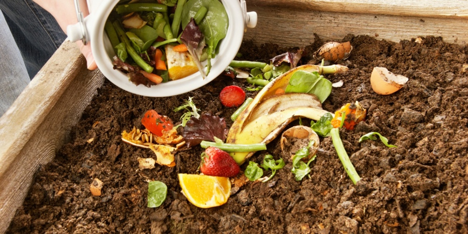 Banner image for Sustainable Living Festival Composting Conversations