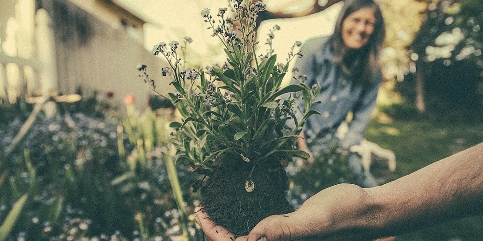 Banner image for Food Is Free Inc. Plant, seeds & seedling swap!