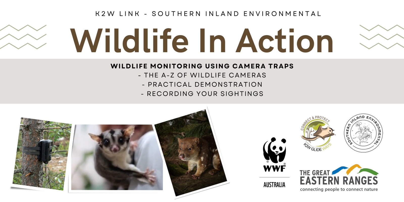 Banner image for Wildlife in Action - The A-Z of Camera-traps