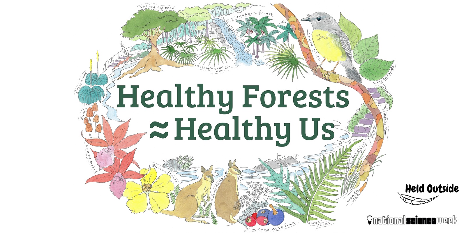 Banner image for Healthy Forests = Healthy Us Family Activity Day