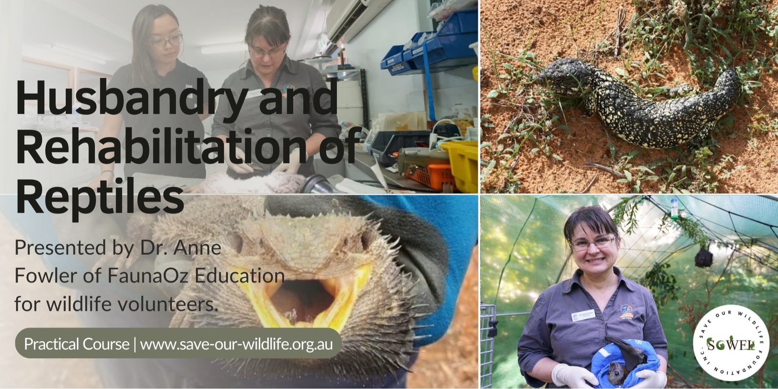 Banner image for Husbandry and Rehabilitation of Reptiles presented by Dr. Anne Fowler