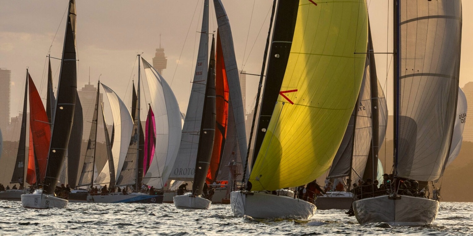 Banner image for Cabbage Tree Race Start Rosman Ferry 