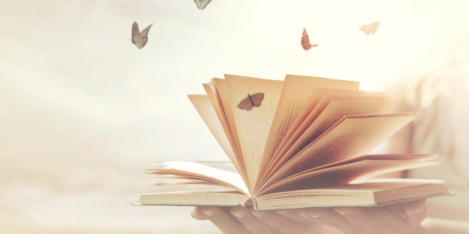 Banner image for Mindful reading group
