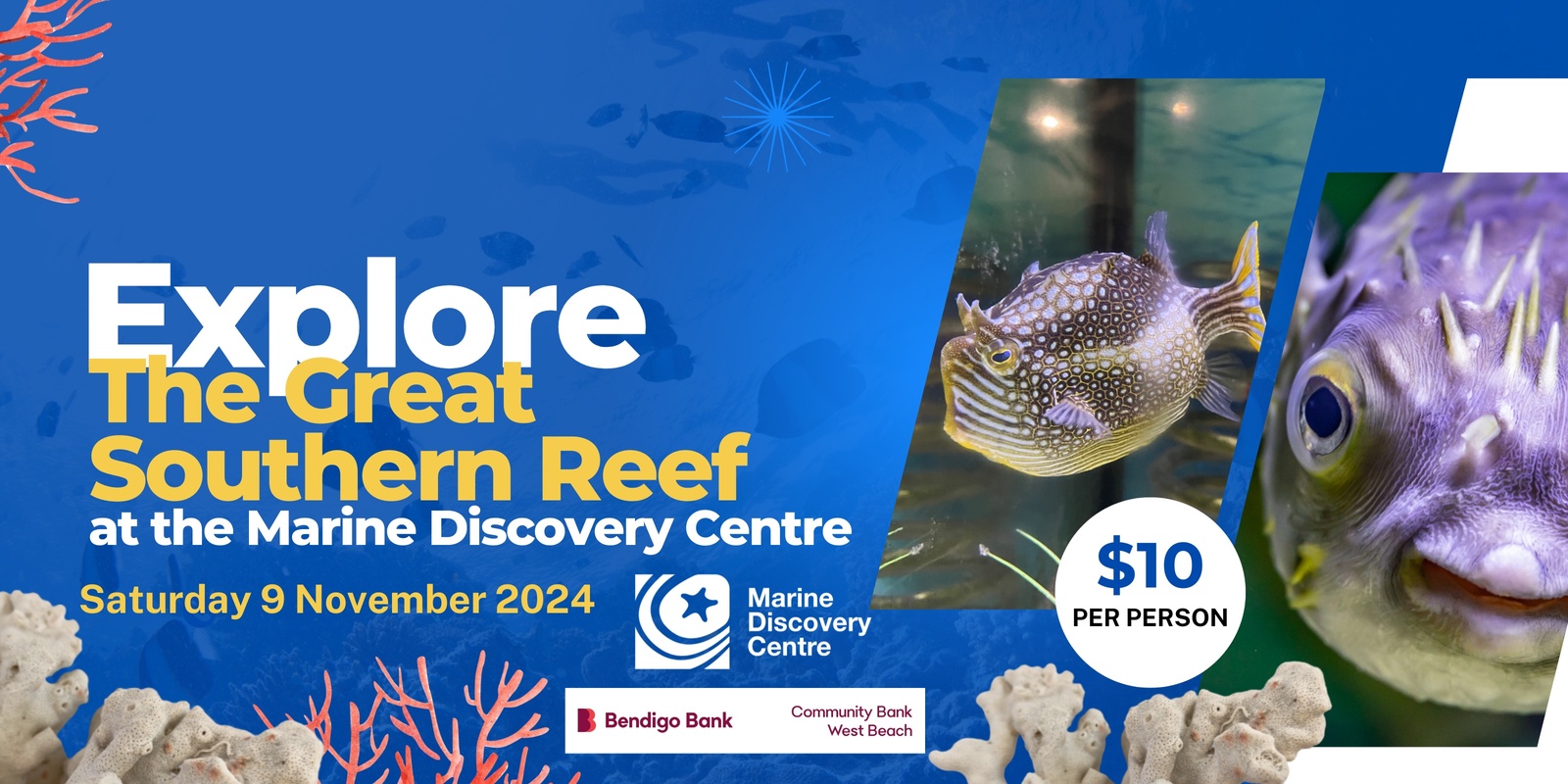 Banner image for Community Open Day at the Marine Discovery Centre