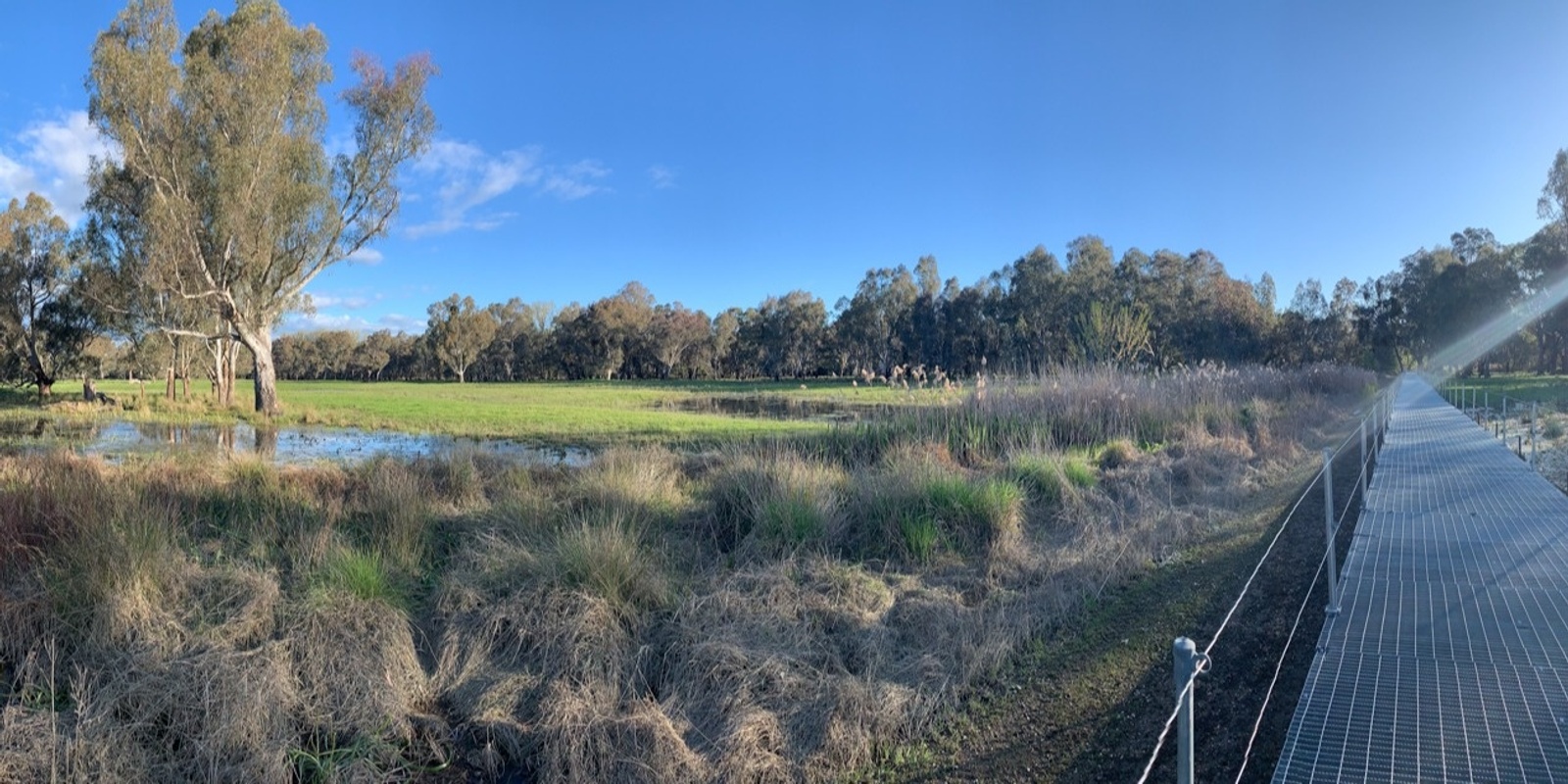 Banner image for Slow Nature Walk, Kiewa River - Seniors Celebration