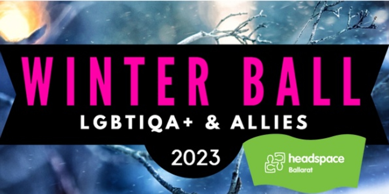 Banner image for WINTER BALL 2023 - LGBTIQA+ & ALLIES 2023