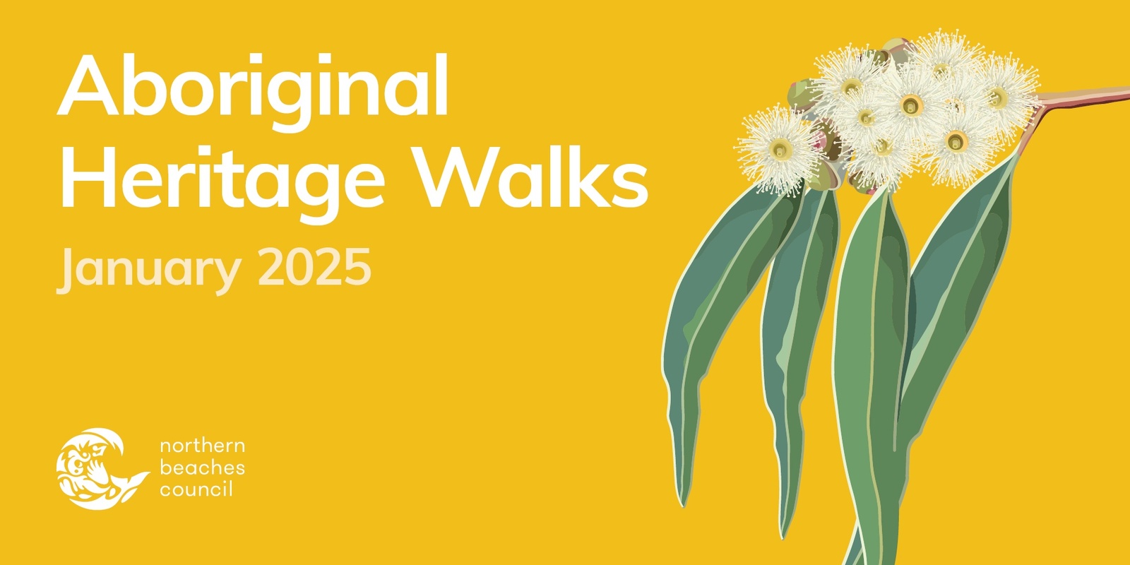 Banner image for Aboriginal Heritage Walk - Tania Park - 16 Jan 2025