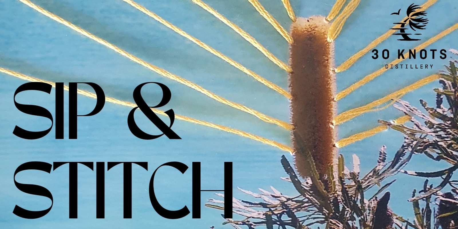 Banner image for SIP & STITCH: embroidery edition