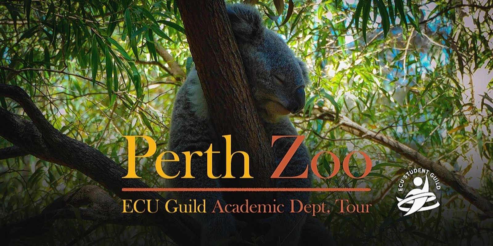 Banner image for 2024 Perth Zoo Trip