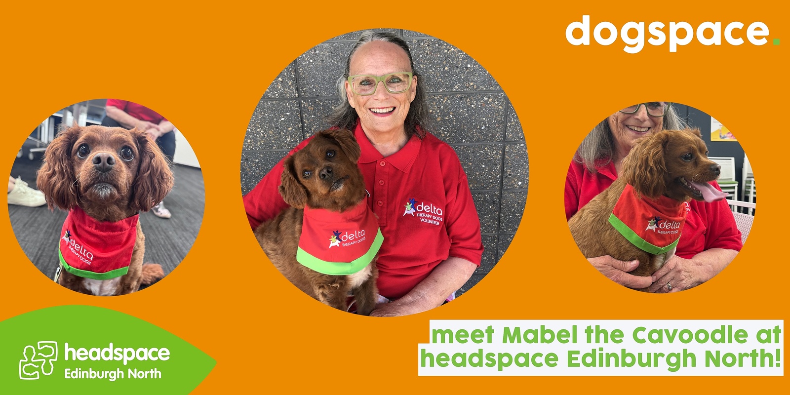 Banner image for dogspace @ headspace Edinburgh North