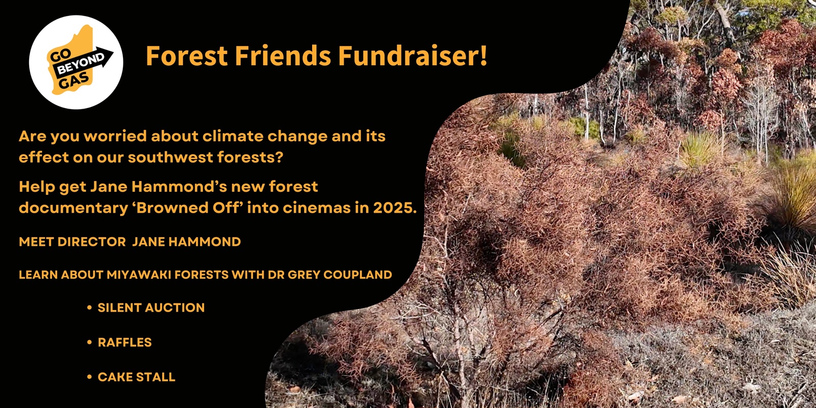 Banner image for Forest Friends Fundraiser